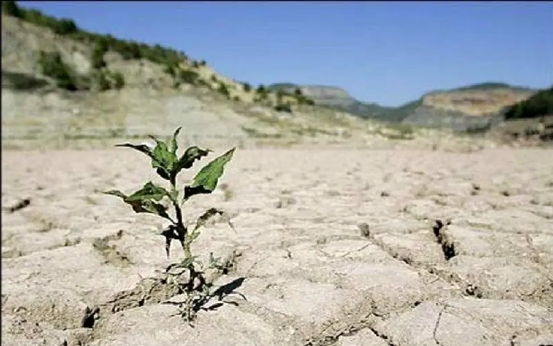 تنها 1.5 میلی‌متر مجموع بارش‌های پاییز امسال در استان یزد