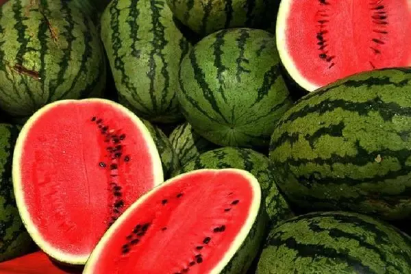 ۱۷۰ هزار تن هندوانه برای شب یلدا عرضه می‌شود