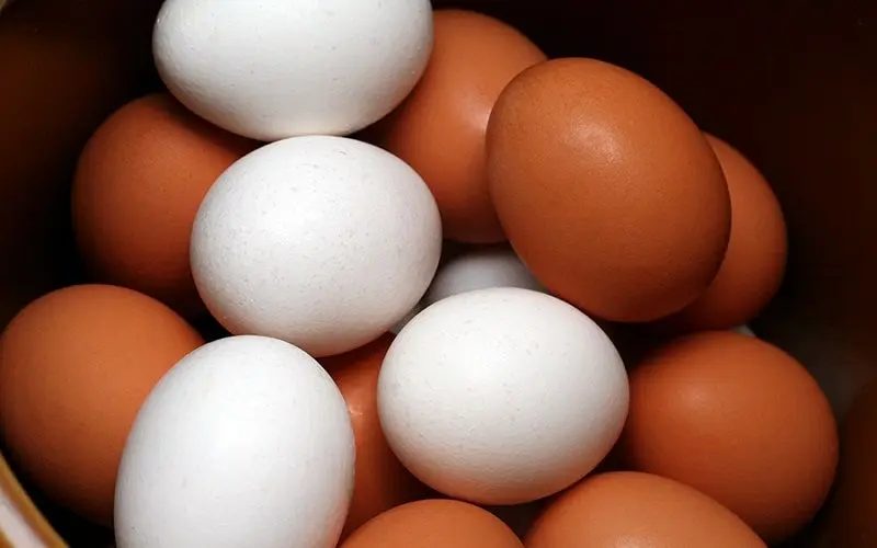 هر شانه تخم مرغ را گران‌تر از 12.500 تومان نخرید