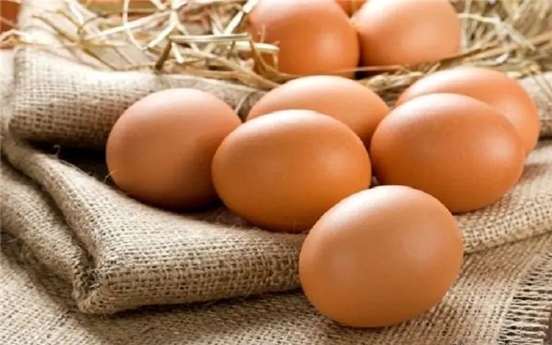 مصوبه هیات وزیران برای واردات تخم‌مرغ