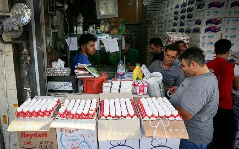 واردات ۲۰ هزار تن تخم‌مرغ برای تنظیم بازار