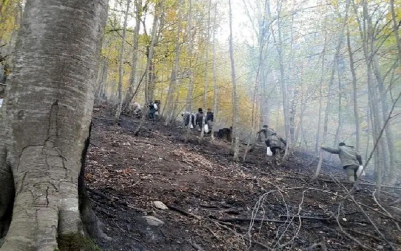 مهار آتش‌سوزی در جنگل بازیاب چالوس