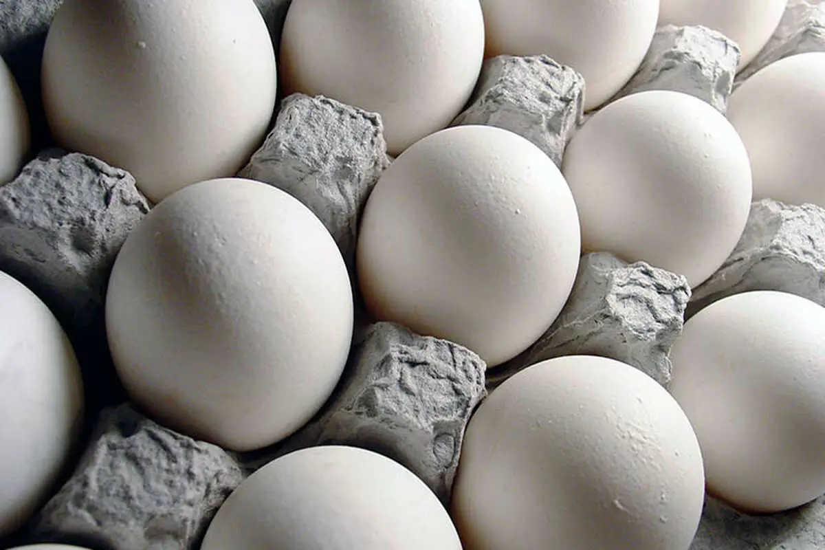توزیع تخم‌مرغ در فروشگاه‌های زنجیره‌ای