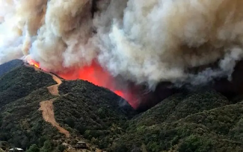 15هکتار از جنگل‌های آمل در آتش سوخت