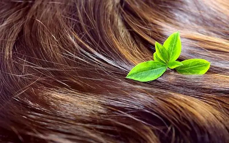 کافئین به تقویت ریشه‌های مو کمک می‌کند