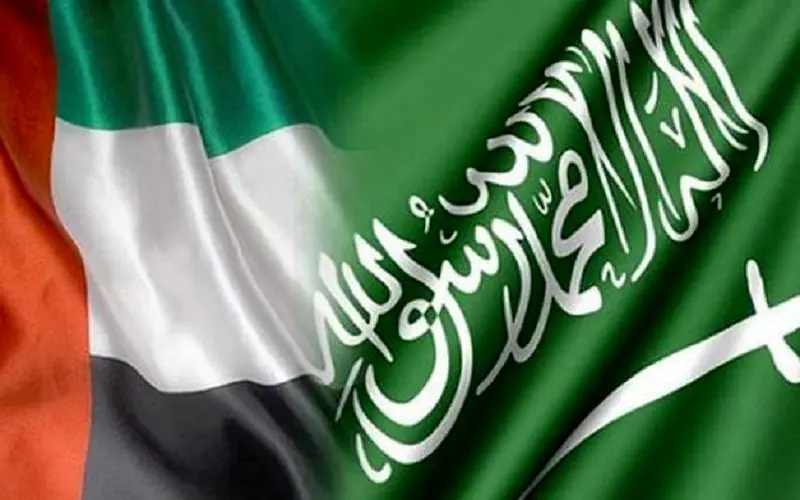 اجرای مالیات بر ارزش افزوده در امارات و عربستان برای نخستین بار