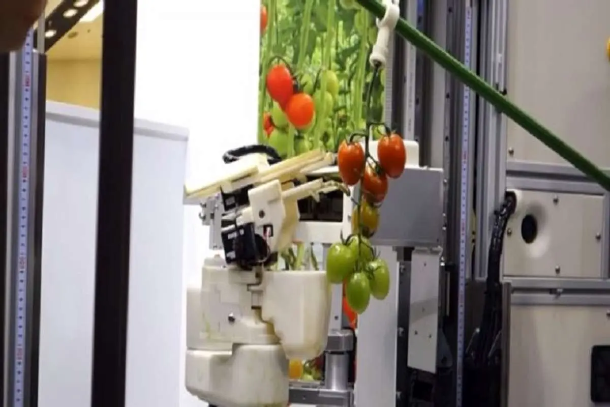 طراحی یک ربات برای برداشت محصولات کشاورزی
