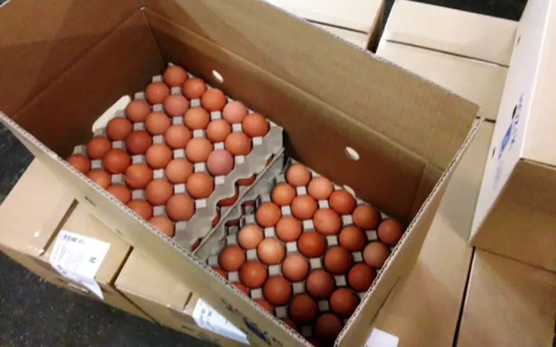 واردات بیش از ۱۱۶ تن تخم‌مرغ به کشور در یک هفته اخیر