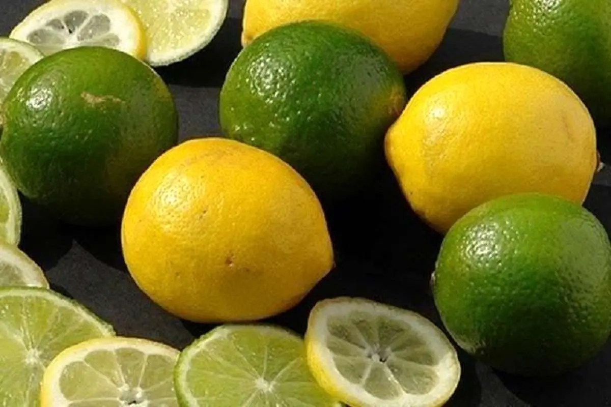 کشف 5 تن لیموی پاکستانی در ایرانشهر