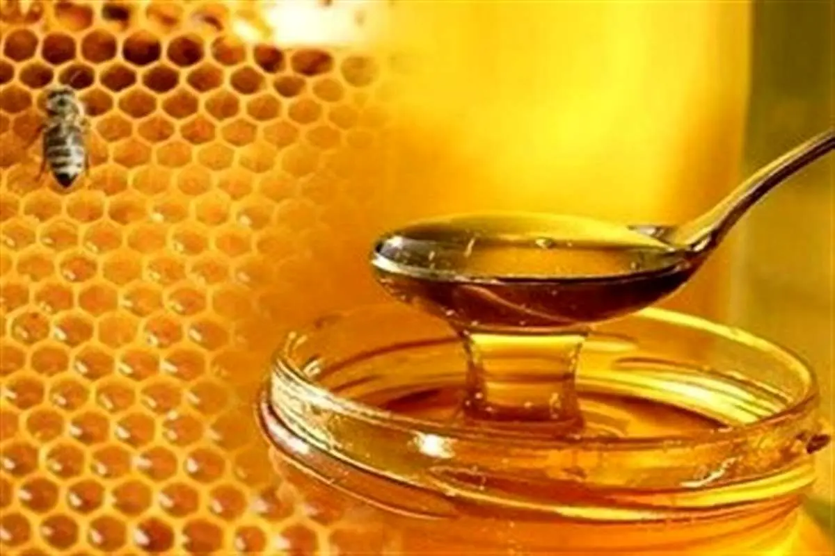 صادرات ۷۶۵ تن عسل طبیعی