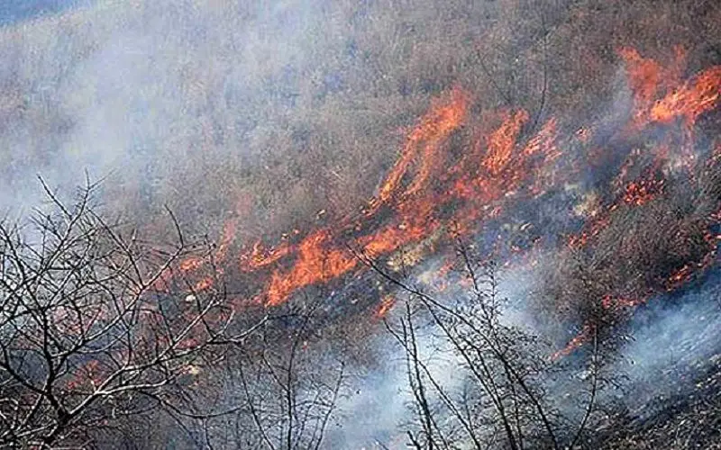 آتش‌سوزی در 8.5 هکتار از جنگل های گیلان