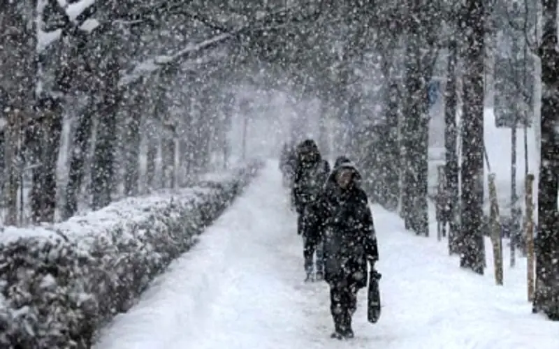یک کشته و 138 مصدوم میراث برف و سرما در تهران