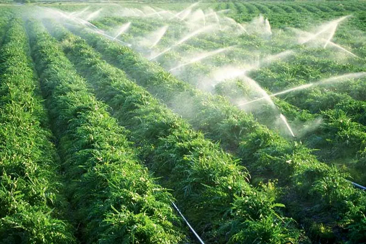 مجوز تکمیل طرح انتقال آب کشاورزی سیستان صادر شد