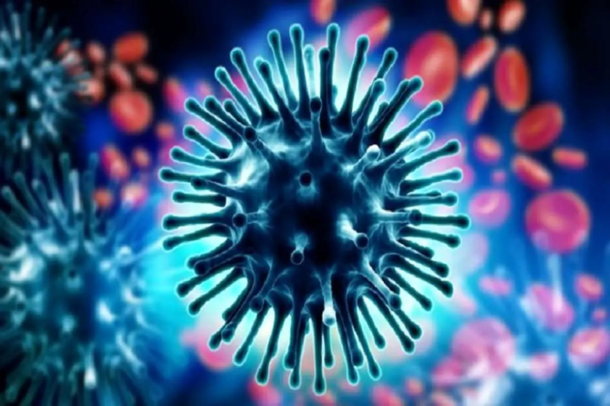 تلفات آنفلوآنزا در کشورهای مختلف افزایش یافت