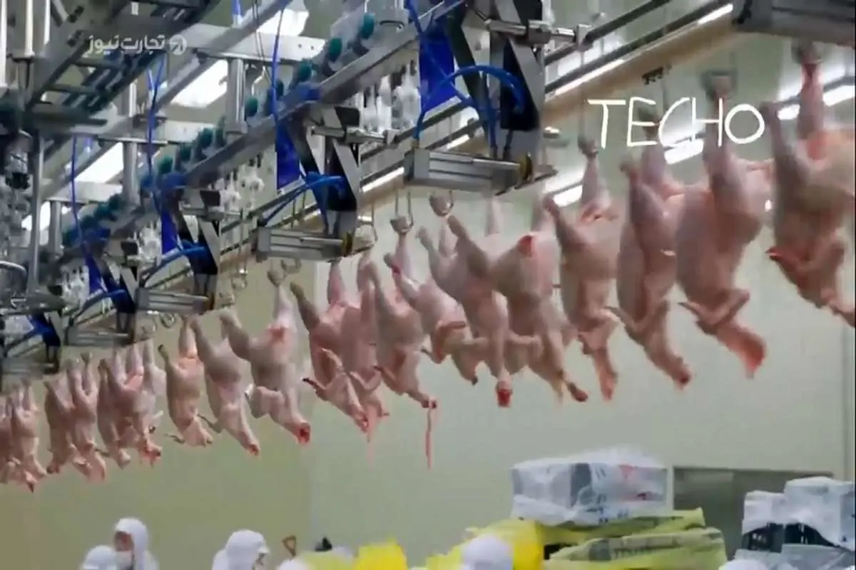 ممنوعیت واردات گوشت مرغ از ایران در افغانستان