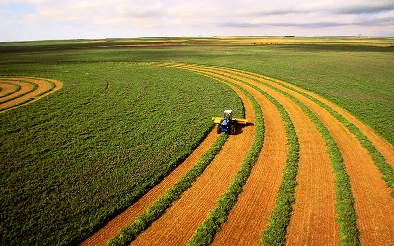 افزایش 6 هزار میلیاردی منابع صندوق سرمایه‌گذاری کشاورزی