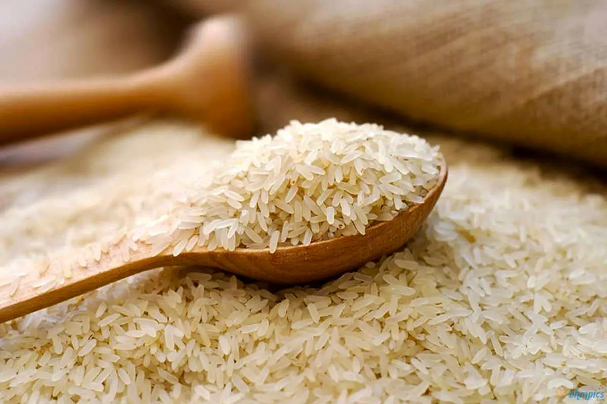 افزایش 6 درصدی قیمت برنج