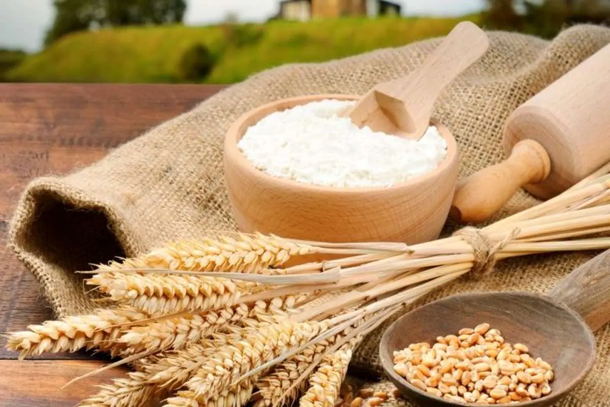 ایران با خرید گندم از روسیه در بازار آرد عراق حضور دارد