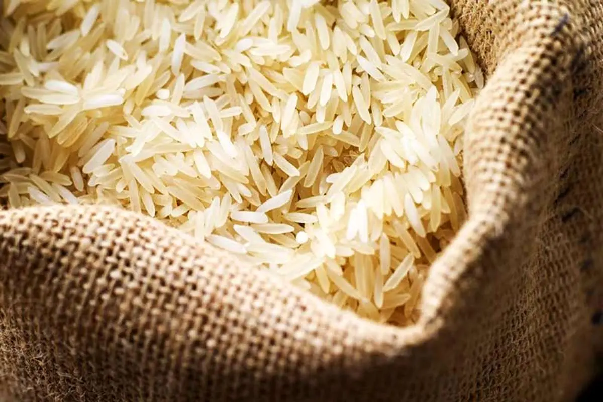 قیمت برنج تغییری نکرده است