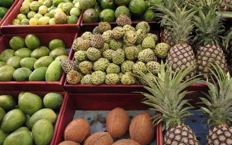 کشف میوه‌های قاچاق در میدان تره‌بار تهران