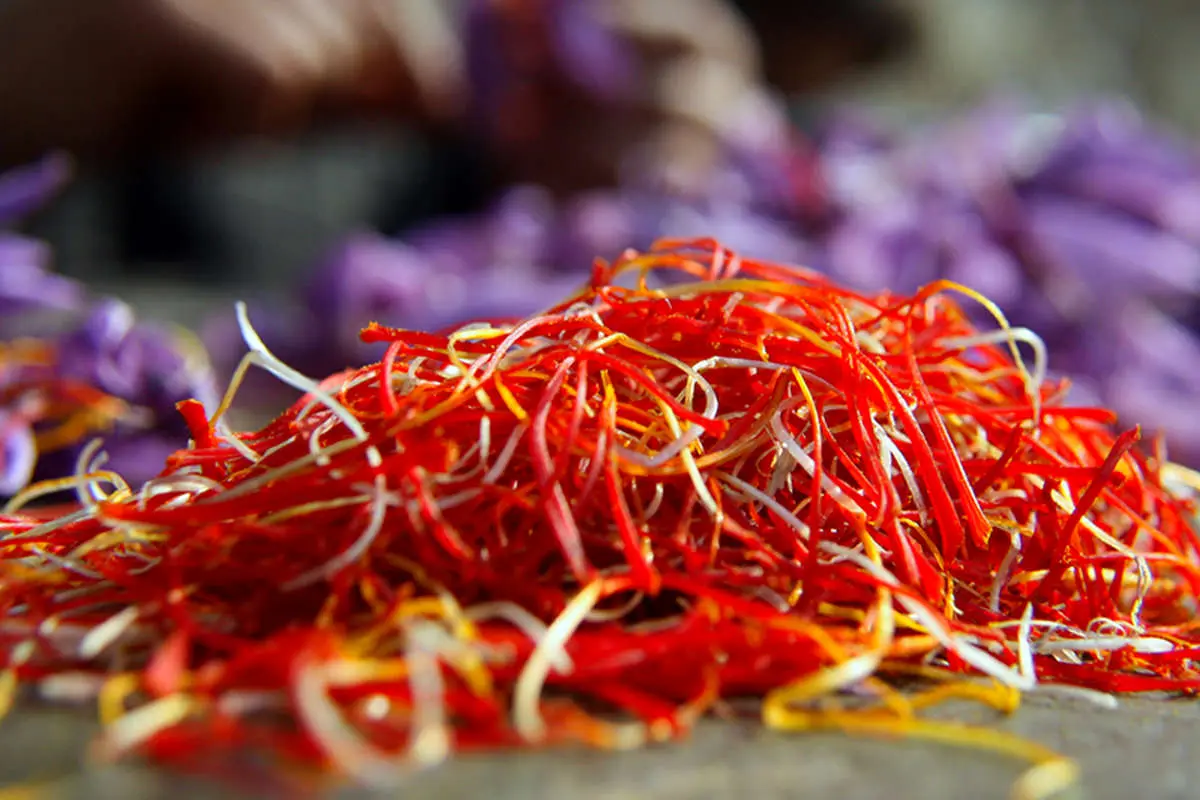 خرید حمایتی 67 تن زعفران از کشاورزان
