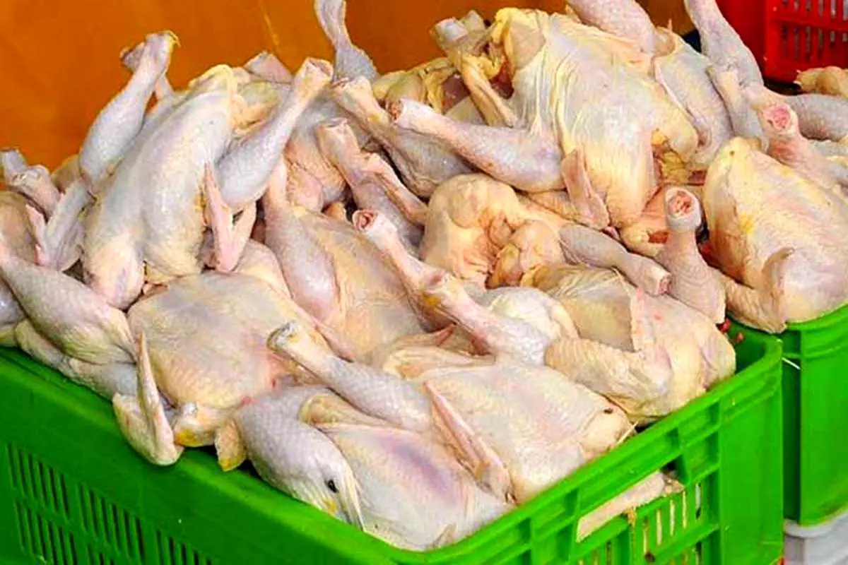 کاهش نسبی قیمت مرغ در خرده‌فروشی‌ها