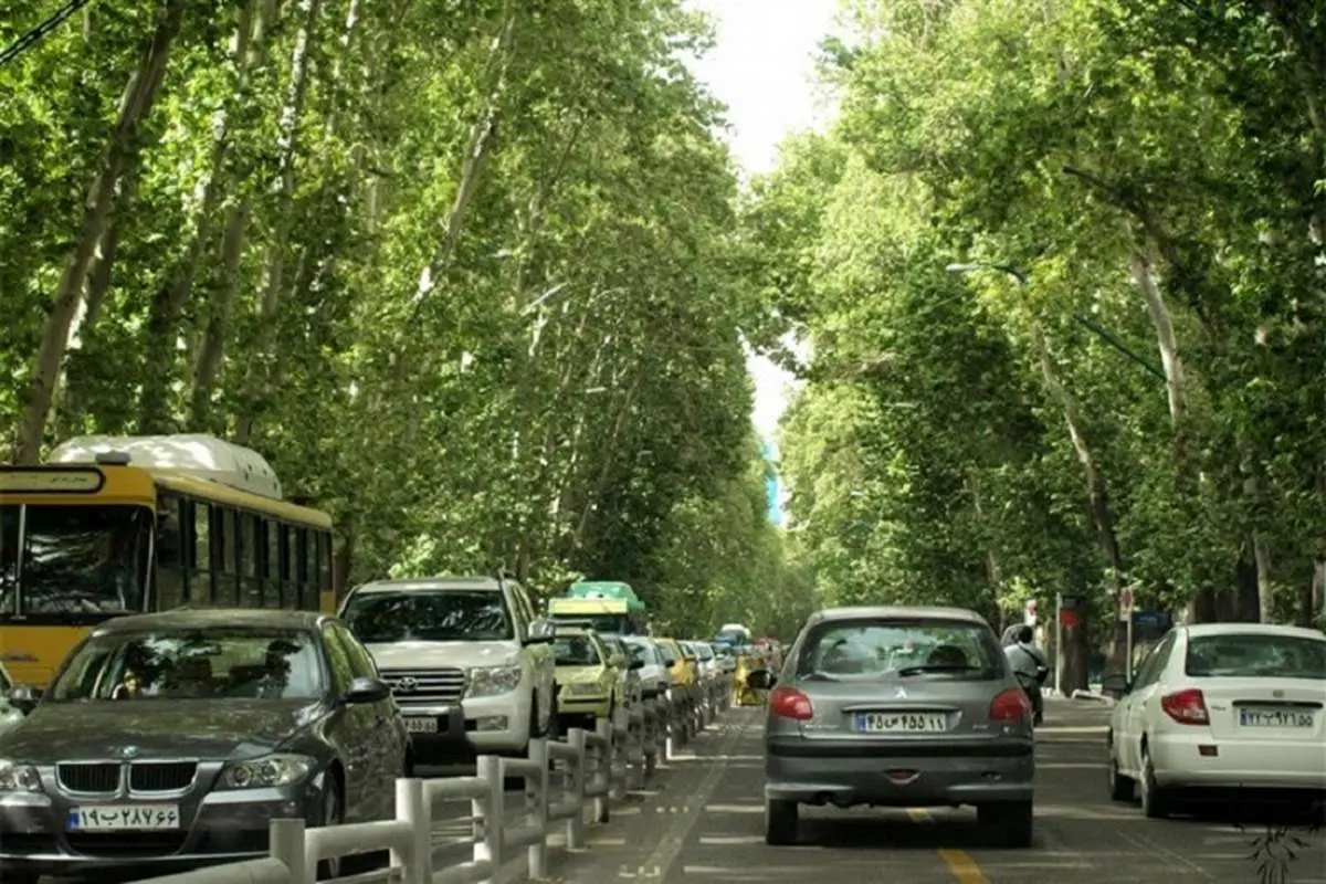 درختان خیابان ولیعصر به قارچ سرطان رنگی مبتلا شده‌اند