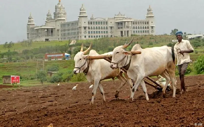 برنامه‌های نیتی‌آیوگ عامل ایجاد تحول در کشاورزی هند