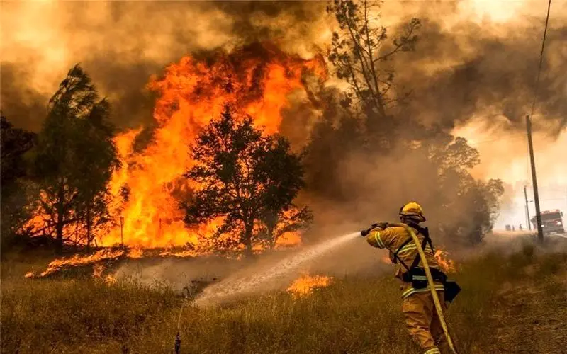 تجهیزات مهار آتش جنگل‌های کشور کافی نیست