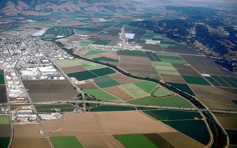 توسعه کشت دیم راهکار کشاورزان کالیفرنیا برای تولید محصولات