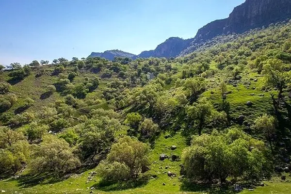  ۵۵ هزار مترمربع از اراضی ملی در شوشتر به وزارت راه تحویل شد