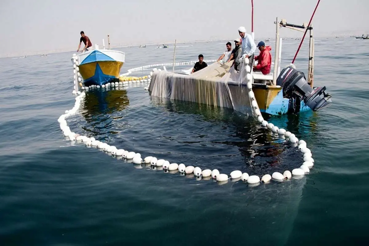 تمدید ممنوعیت صید تجاری ماهیان خاویاری