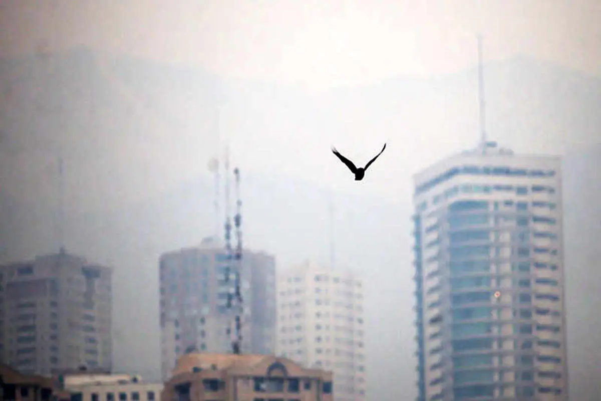 آلودگی هوا پارک‌های تهران ‌را تعطیل کرد