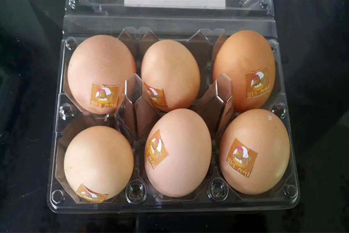 قیمت تخم‌مرغ شناسنامه دار بسته‌‌بندی اعلام شد