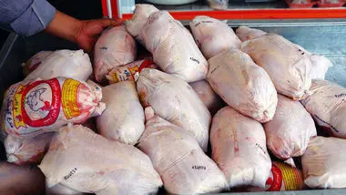 دادستانی تهران به دنبال رفع مشکلات بازار مرغ