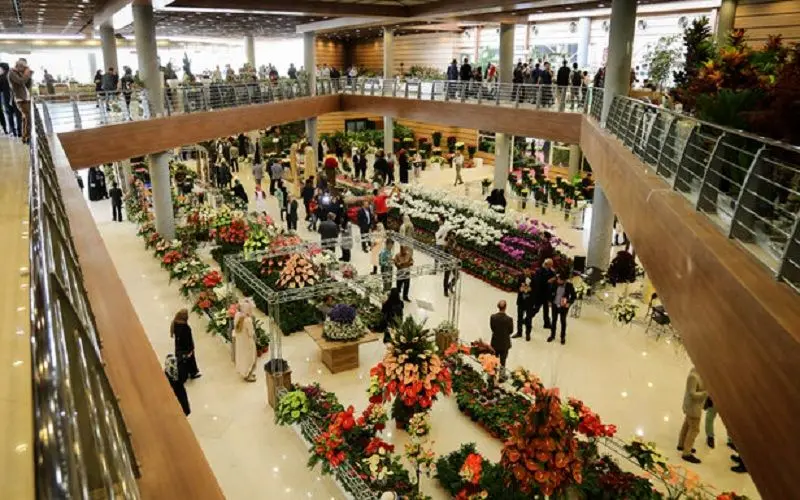 پایانه‌ صادراتی گل و گیاه در تهران راه‌اندازی می‌شود