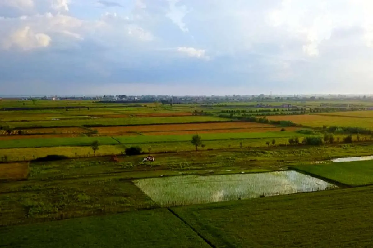 سنددار کردن اراضی کشاورزی محدوده طرح انتقال آب به دشت سیستان