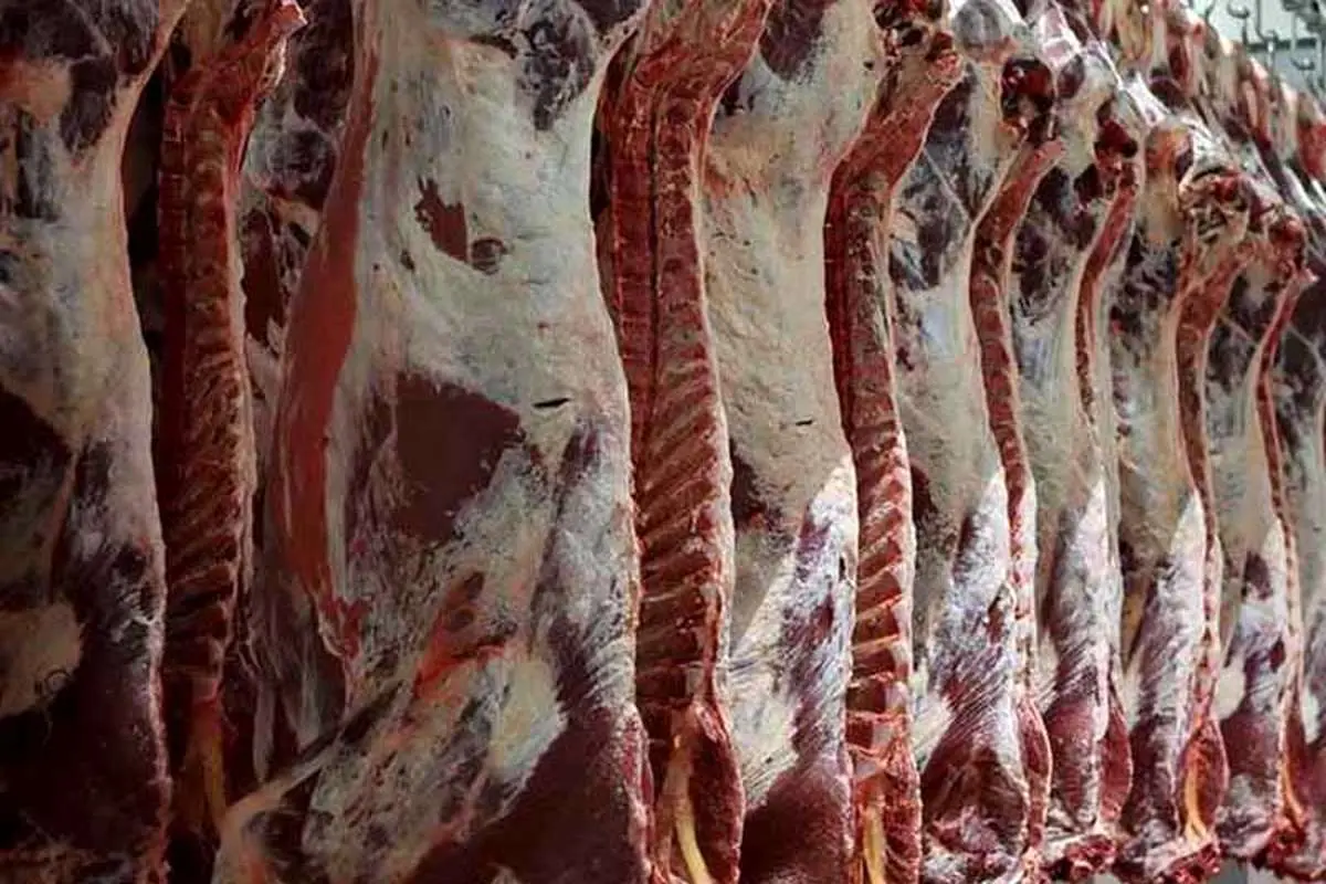 رد پای دلار در گرانی گوشت