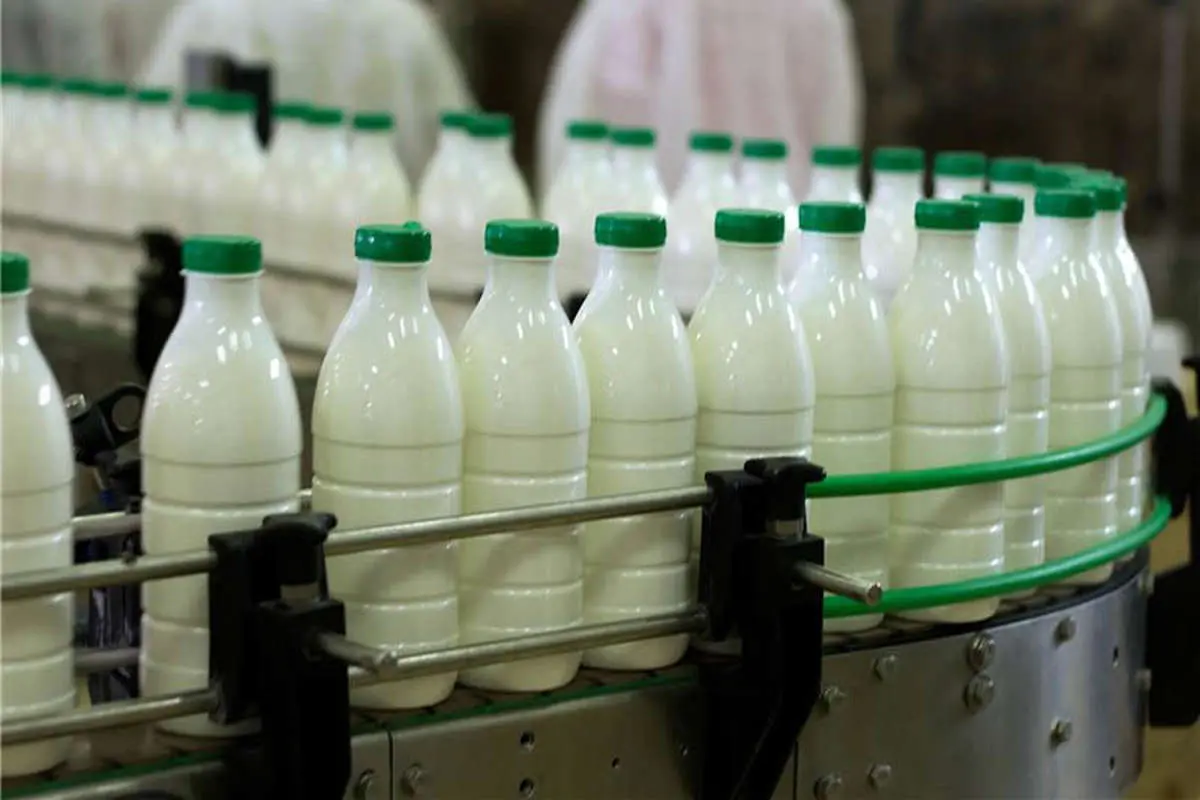 افزایش 9 درصدی شیرخام مورد قبول دامداران نیست