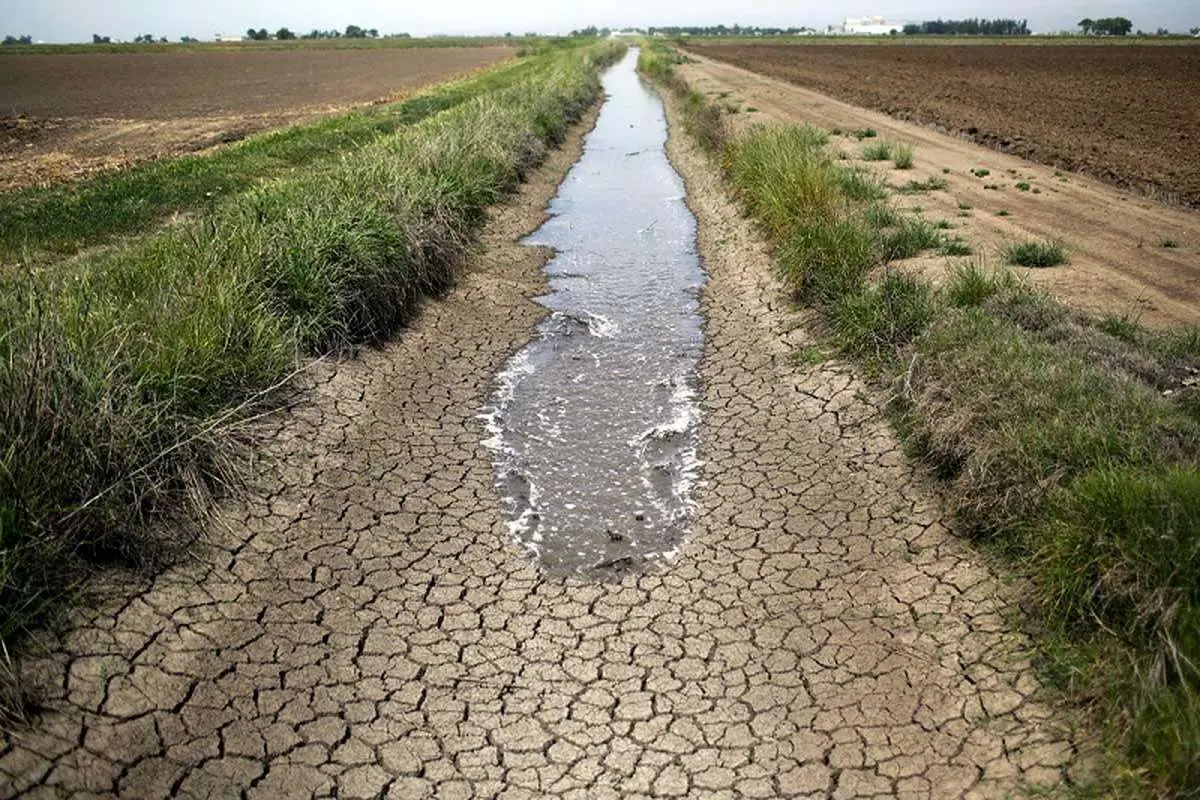 92.5 درصد آب ایران در کشاورزی فرو می‌رود