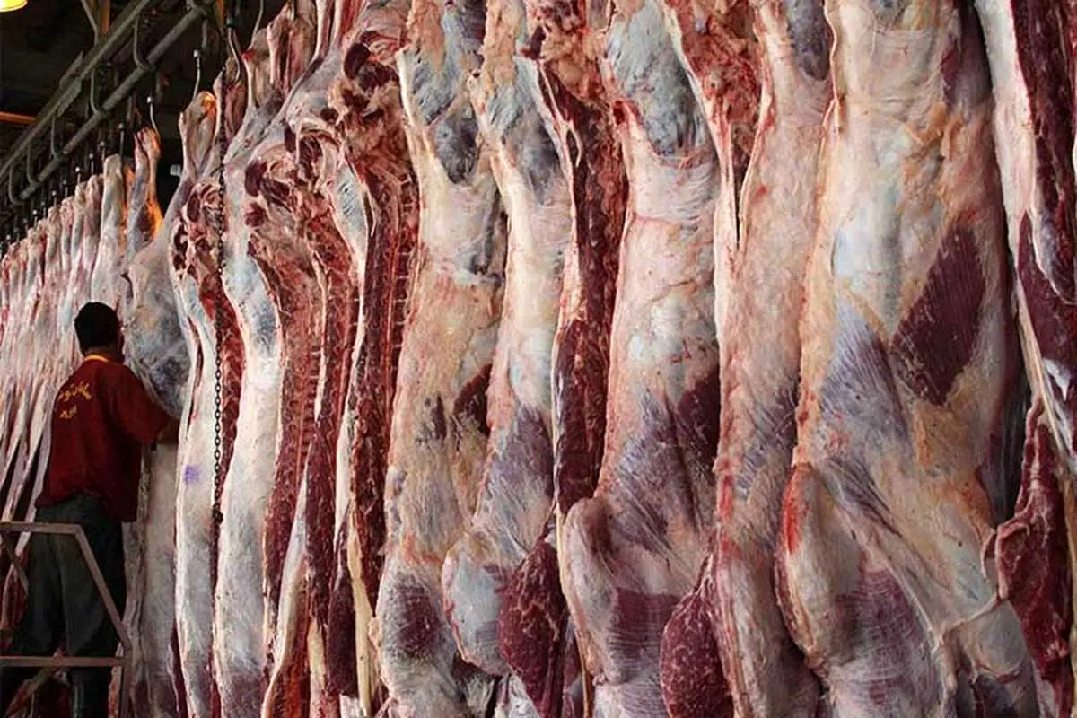 قیمت گوشت گوسفندی به ۵۶ هزار تومان رسید