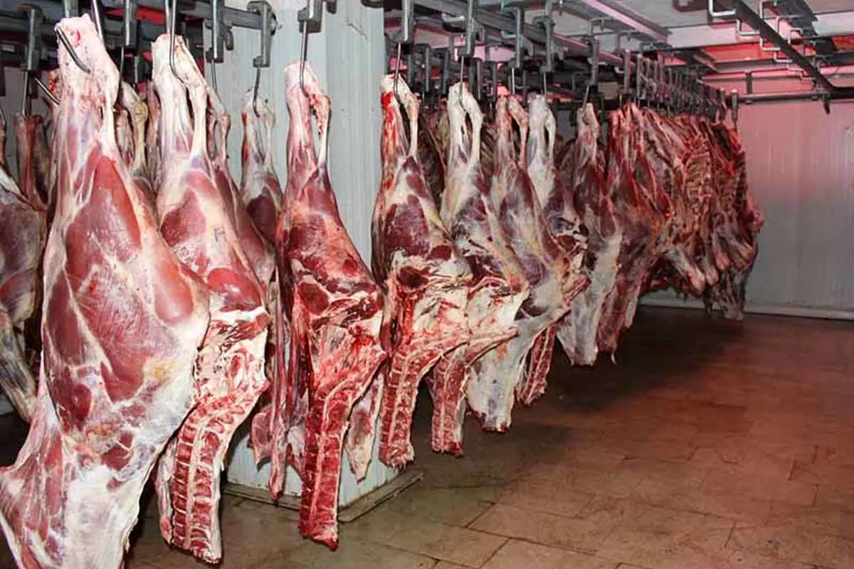 واردات ۱۴۷ میلیون دلاری گوشت گاو منجمد