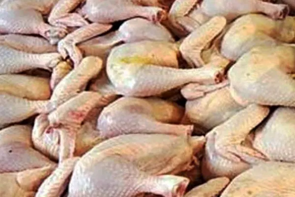 صادرات ۲۳تن گوشت مرغ از لرستان به عراق / روندهمچنان ادامه دارد