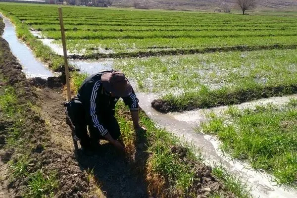 آینده کشاورزی در ایران چه خواهد شد؟