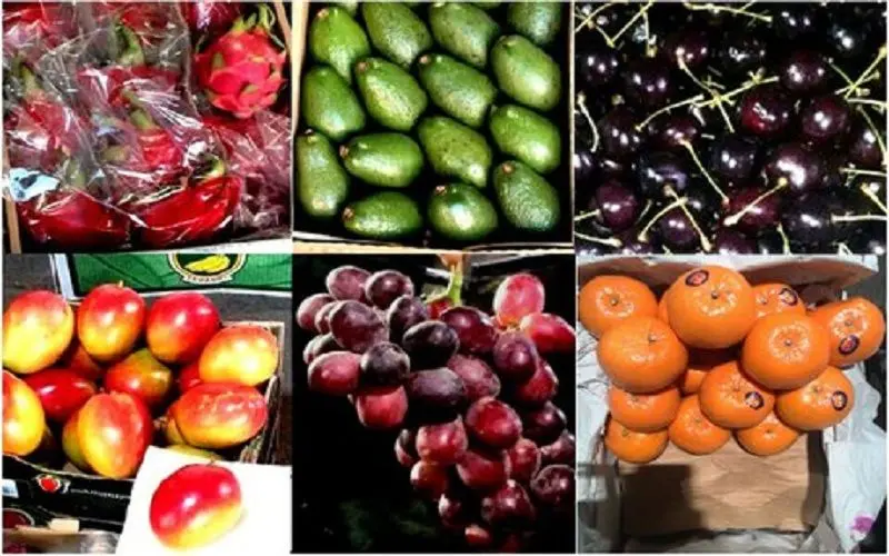 ثبات نسبی قیمت میوه در میدان مرکزی میوه و تره‌بار