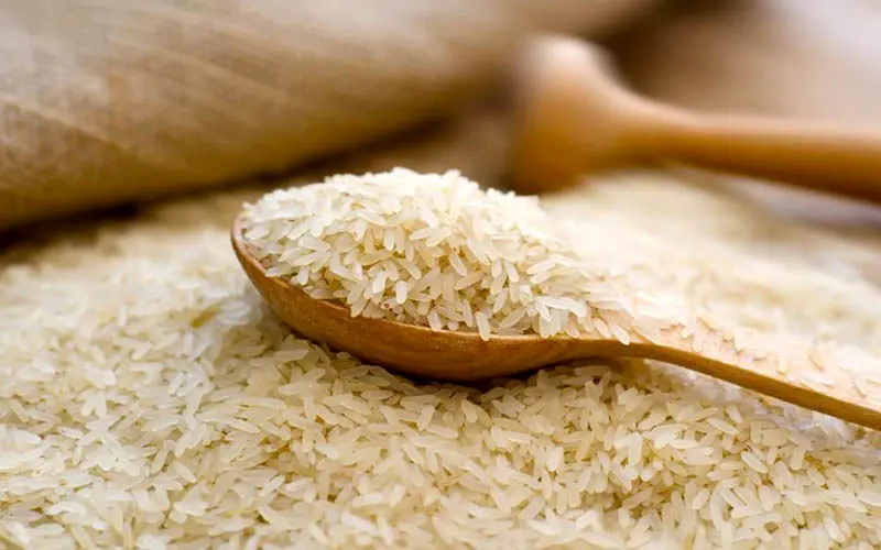 انتقاد نماینده نور از واردات بی‌رویه برنج