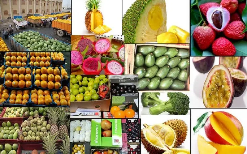 تجارت میوه‌های ممنوعه در فضای مجازی