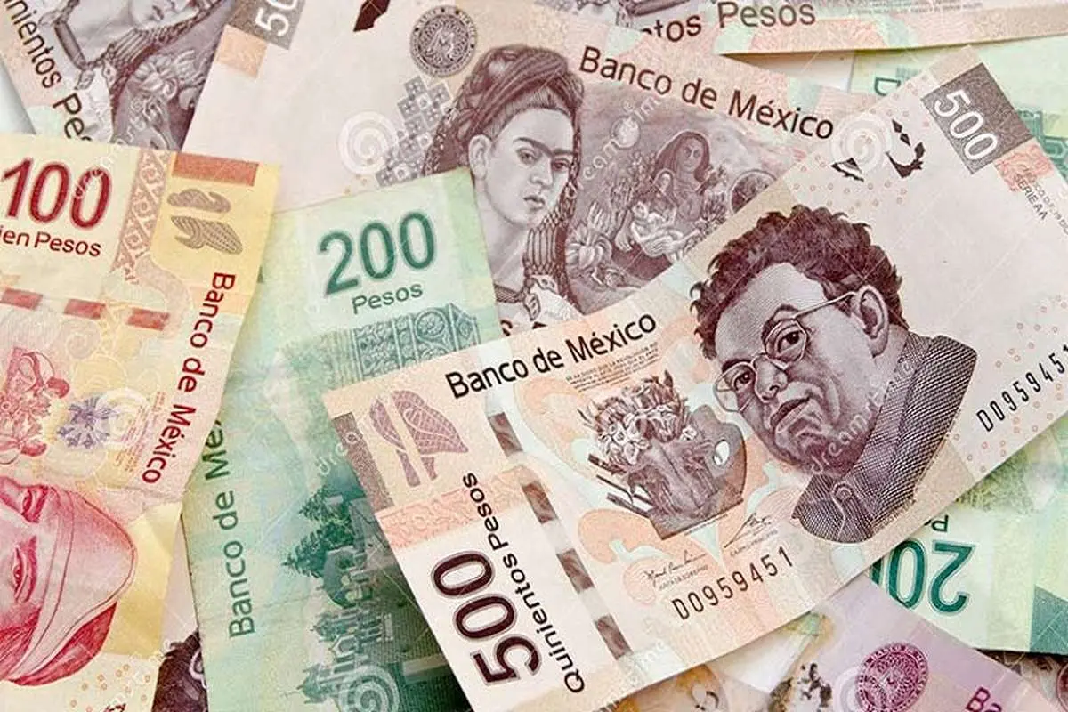 بانک مرکزی آرژانتین برای نجات پزو ۱۵.۶ میلیارد دلار هزینه کرد