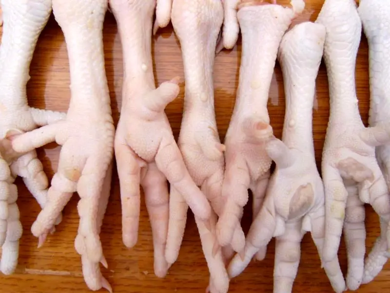 ویتنامی‌ها مشتری پای مرغ تولیدی در البرز