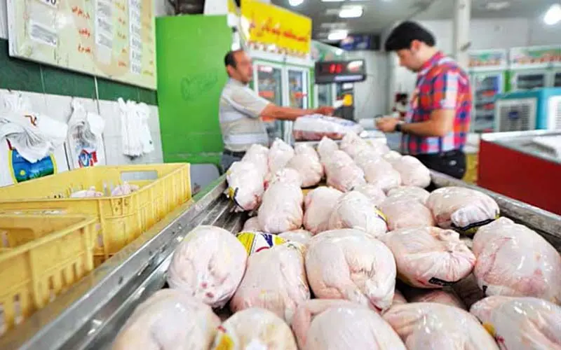 کاهش ۴۰۰ تومانی نرخ مرغ